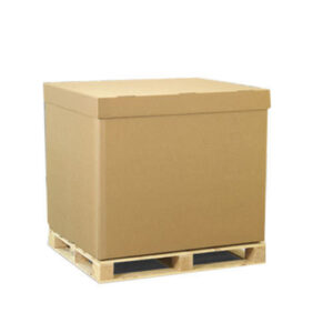 Export Quality Carton Box